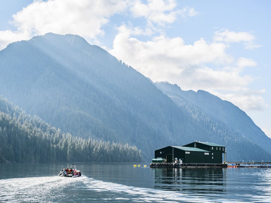 Boat approaching farm